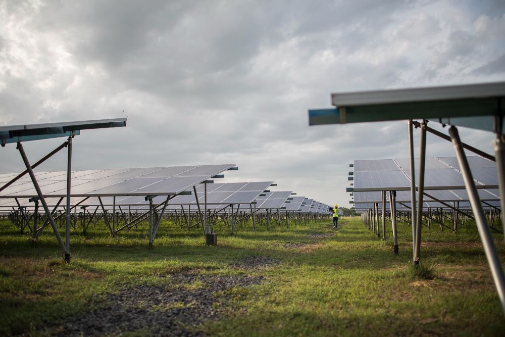 Rows of solar photovoltaic panels at a solar power installation